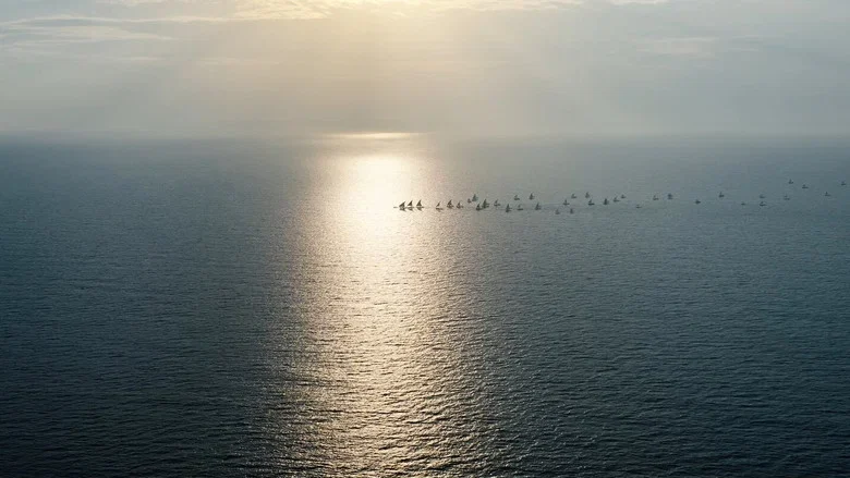 Mandaadi - The Sea Is the Only Thing Here That Refuses to Follow a Rulebook